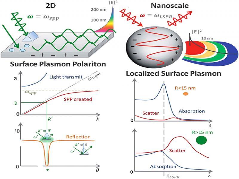 The surface plasmon polariton (SPP) can only be excited at specific wave vectors and decays evanescently from the surface. The momentum-matching condition leads to the SPP resonance and only exists at certain incident angles (Li et al., 2015).