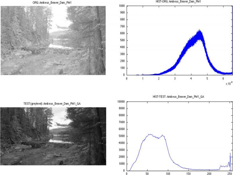 Original and test/processed images and their histograms from the dataset. The test images were processed using global adjustment method.