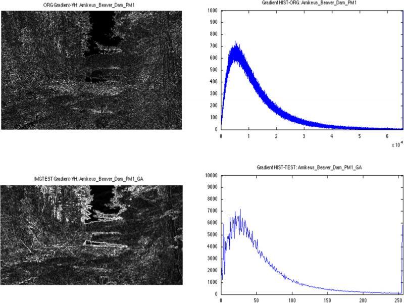 The gradient of the original and test/processed images and their histograms. The test images were processed using global adjustment method.