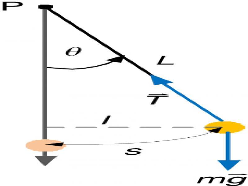 A simple pendulum swinging back and forth about the pivot P. If the angle θ is small about 10° or less, the swinging is approximately simple harmonic motion.