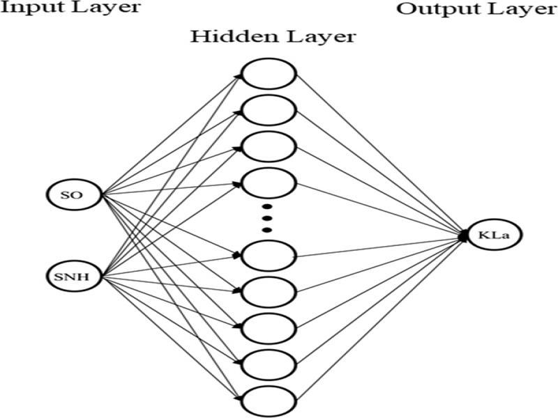 The topological formation of the NN.