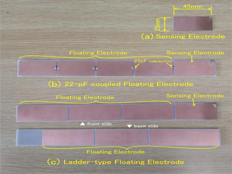 Photograph of electrodes used in the experiment shown in Figure 2.