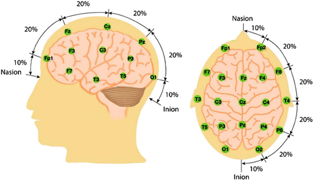 The 10–20 EEG electrode placement system.