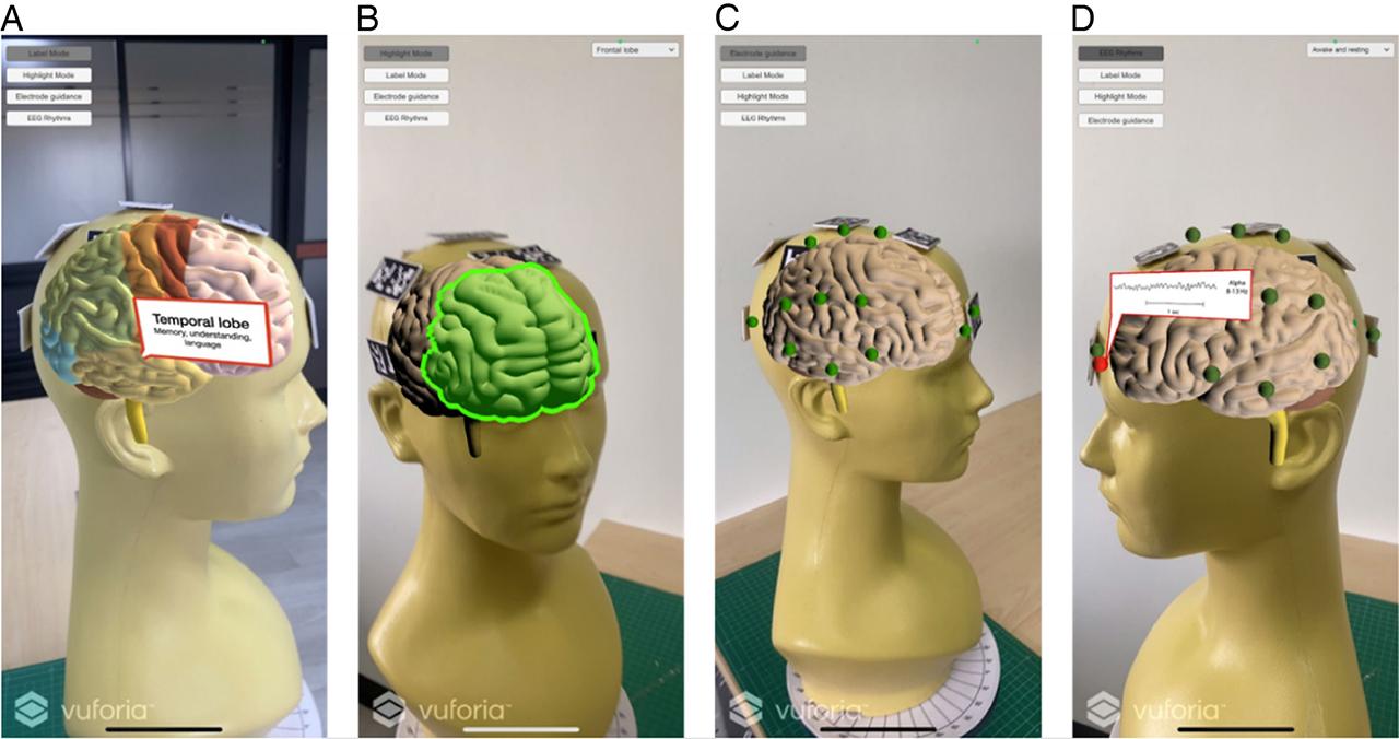 Example of proposed features for display and interaction. (a) Brain lobe displays and functions of the virtual brain. (b) Brain lobe segmentation displays of the virtual brain. (c) Virtual 10–20 EEG electrode guidance and (d) virtual 10–20 EEG electrodes that display example EEG signals in the attention state.