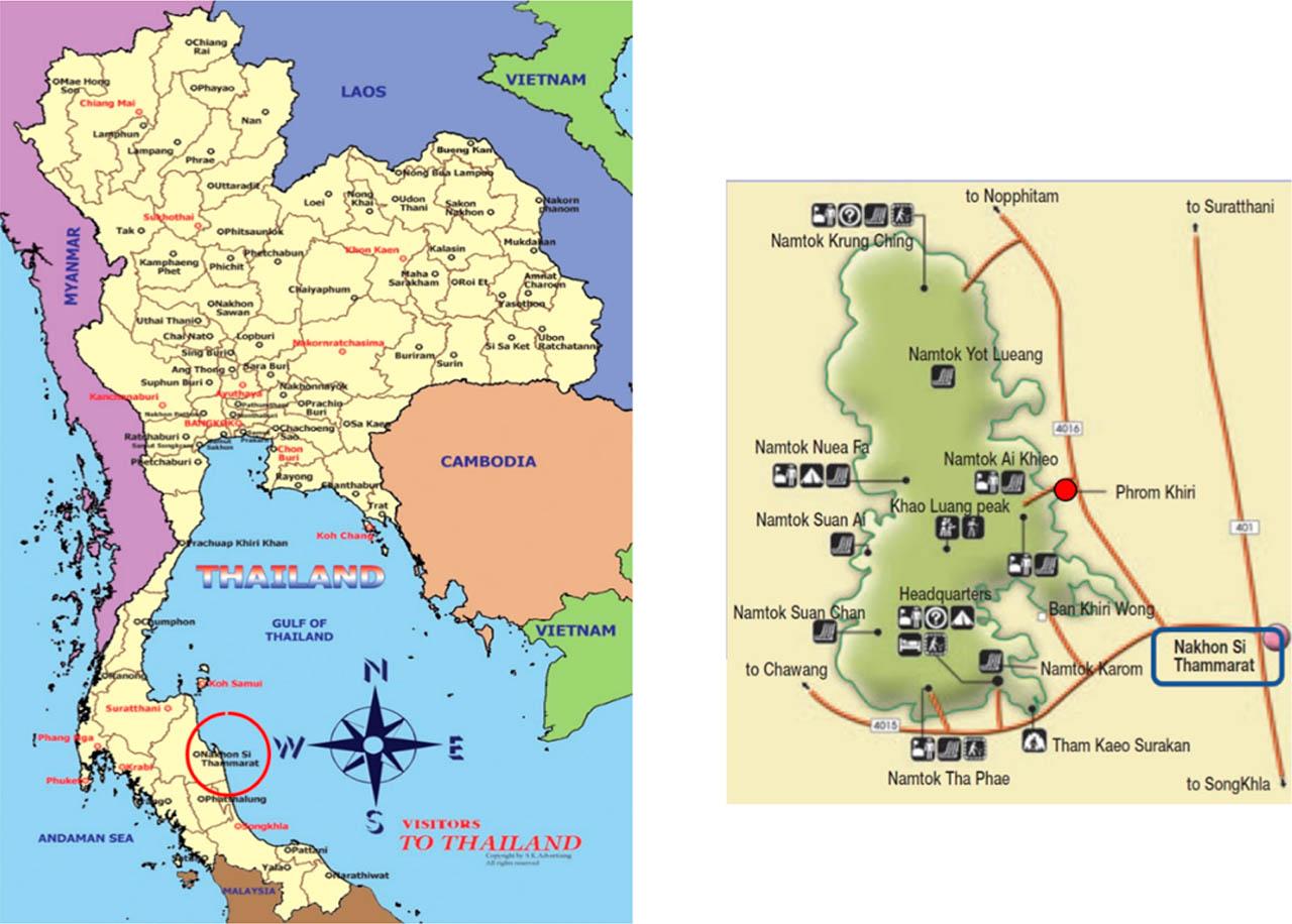 The red circle inside Thailand map indicates Nakhon Si Thammarat province (left hand side) and another red circle inside Nakhon Si Thammarat map indicates Phrom Khiri (right-hand side) which is our study site.