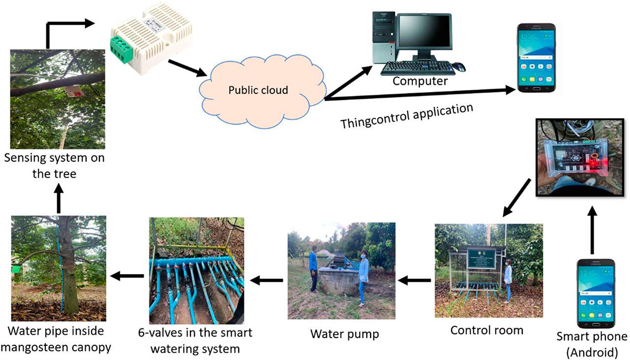 The complete process of smart watering system for controlling humidity inside mangosteen canopy.