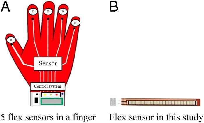 Flex sensors installed in this study: (a) and (b).
