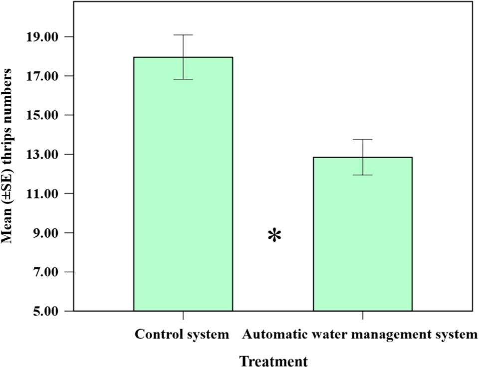 The mean (± SE) thrips numbers per yellow sticky trap (dual-sided 25 × 20 cm) in ‘control’ and ‘automatic water management system’. ‘*’ indicates the significant difference (p < 0.005).