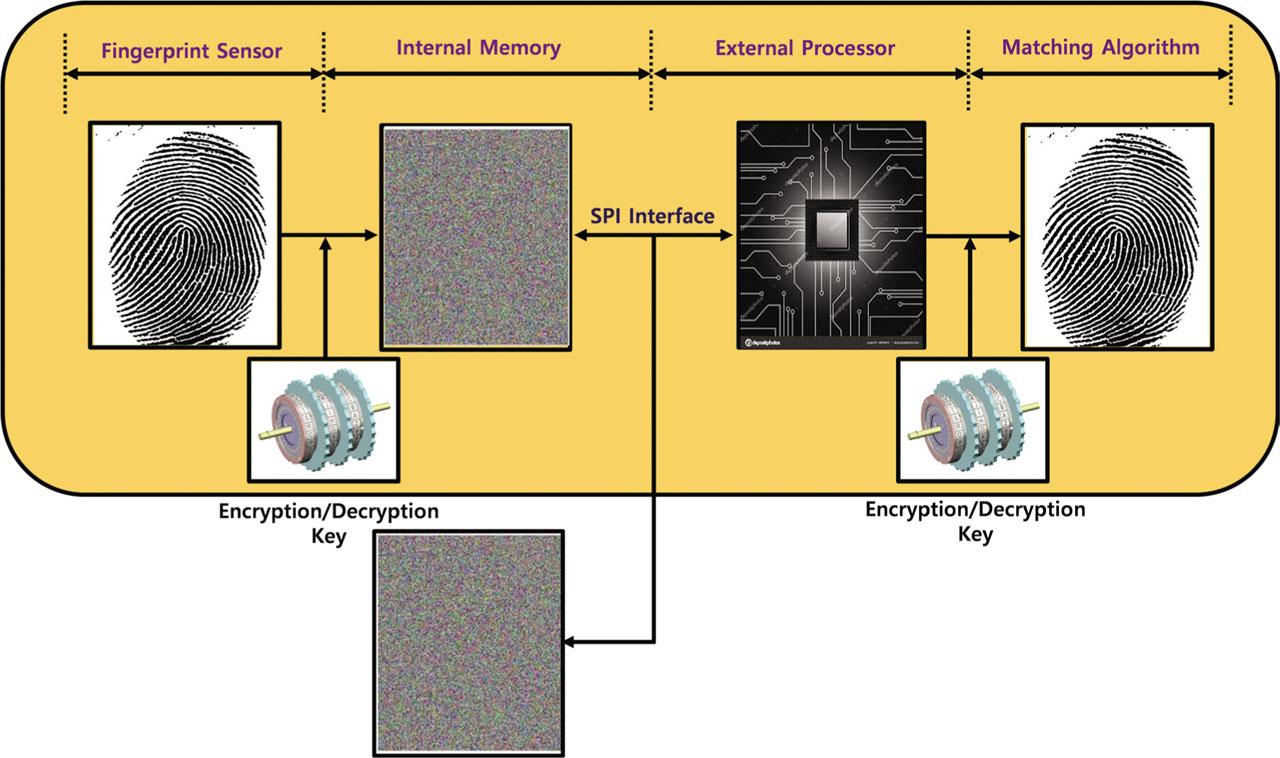 The proposed biometric sensor embedded with an encryption module to prevent hardware hacking and a system schematic to restore it.