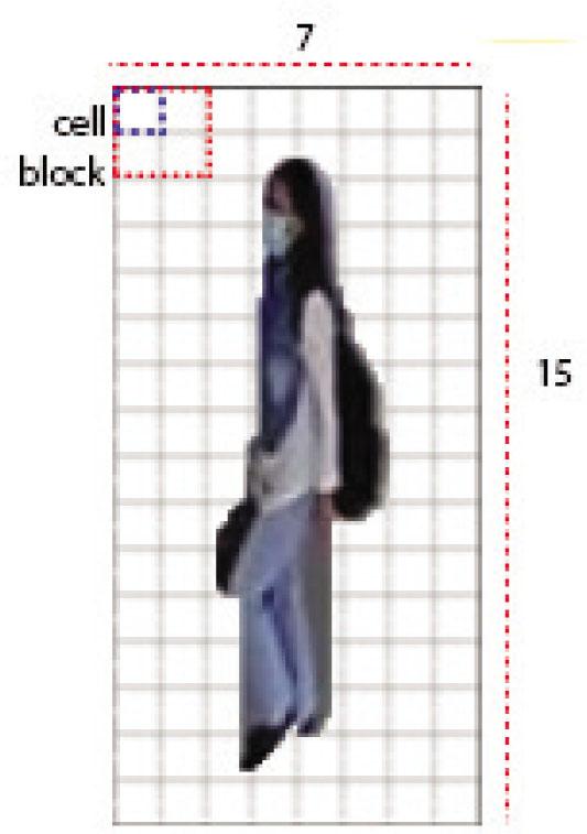 Cell and block in 64 × 128 image.