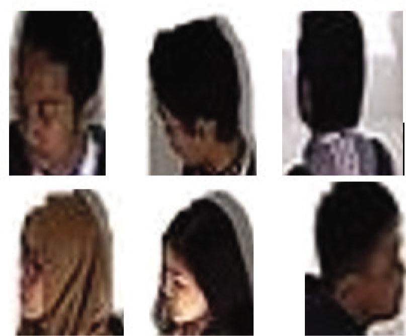 Heads segment sample.