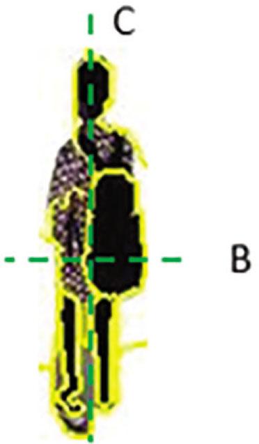 The result of bend-line determining process on image with scale l2.
