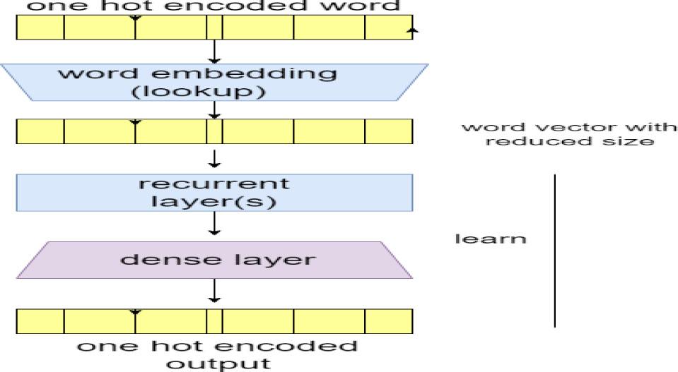 Schematic representation of the NMT model.