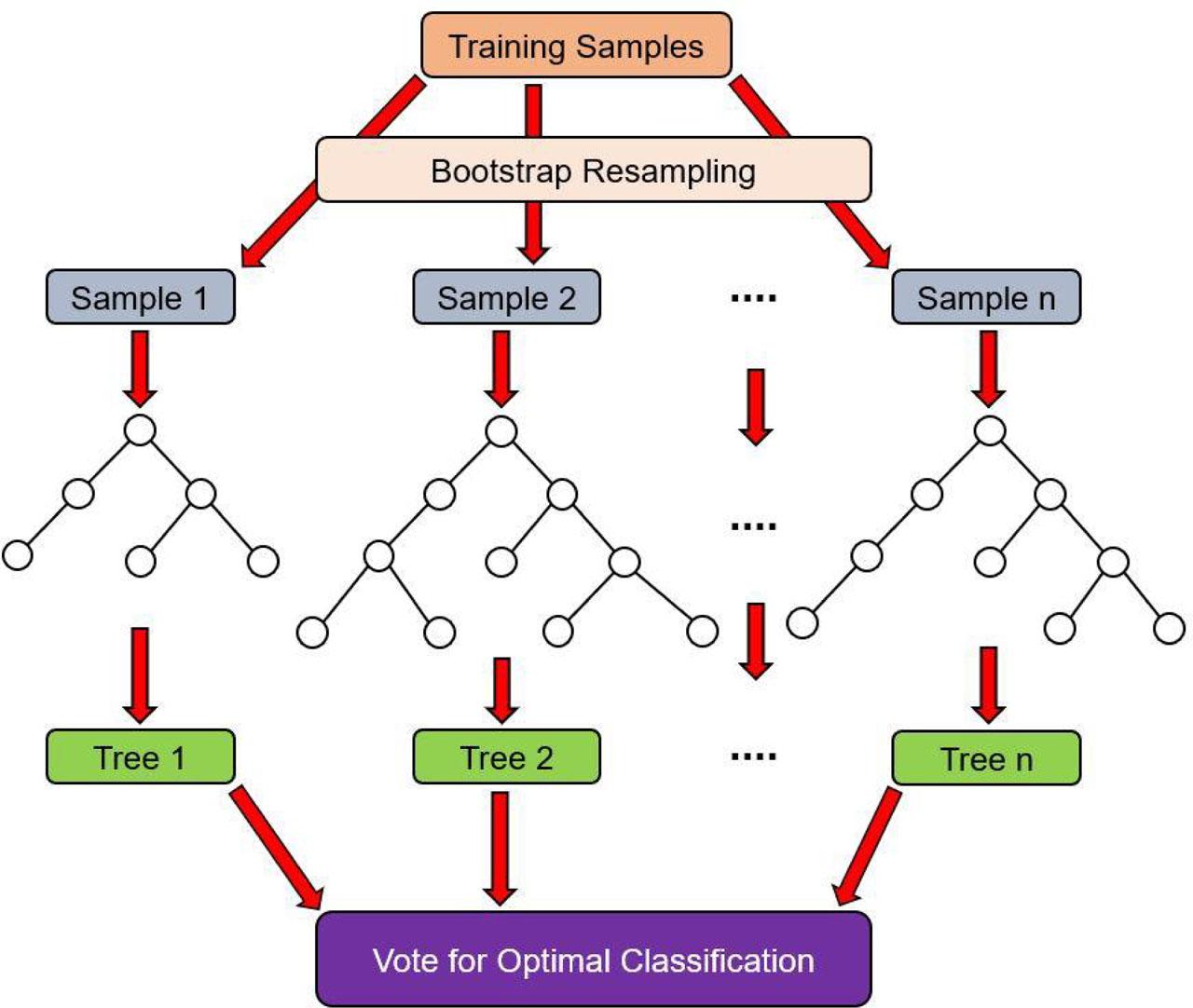 The schematic diagram of RF for season-based vegetation mapping.