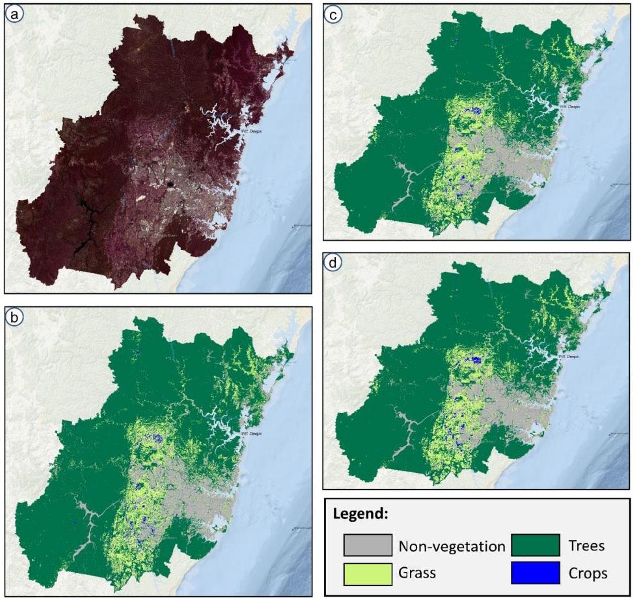 Visualization results of season-based vegetation mapping achieved by the proposed model for summer season: (a) original multi-temporal Sentinel-2 image, (b) results of RF+spectral indices, (c) results of RF+spectral indices+topographic factors, and (d) results of RF+spectral indices+topographic factors+texture information.