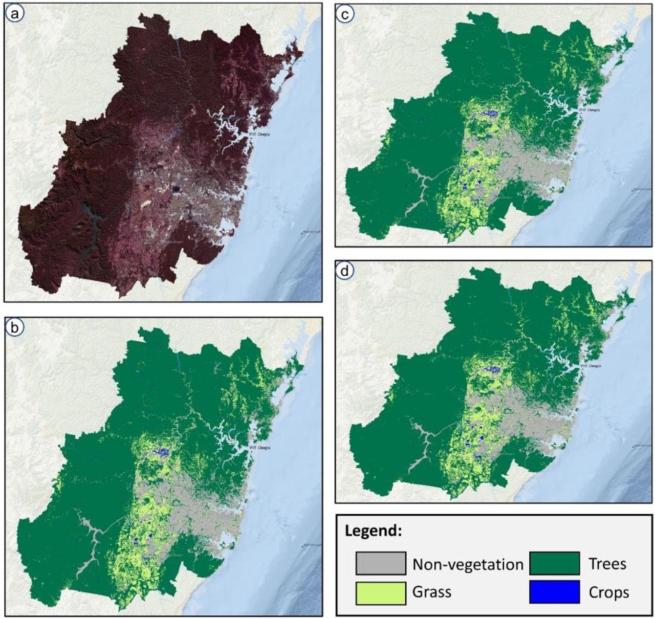 Visualization results of season-based vegetation mapping achieved by the proposed model for autumn season: (a) original multi-temporal Sentinel-2 image, (b) results of RF+spectral indices, (c) results of RF+spectral indices+topographic factors, and (d) results of RF+spectral indices+topographic factors+texture information.