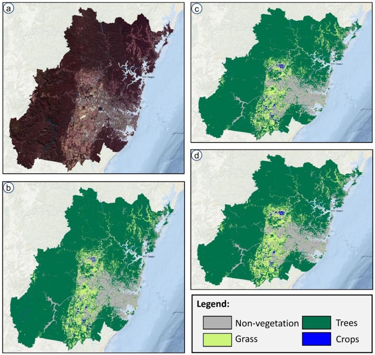 Visualization results of season-based vegetation mapping achieved by the proposed model for winter season: (a) original multi-temporal Sentinel-2 image, (b) results of RF+spectral indices, (c) results of RF+spectral indices+topographic factors, and (d) results of RF+spectral indices+topographic factors+texture information.