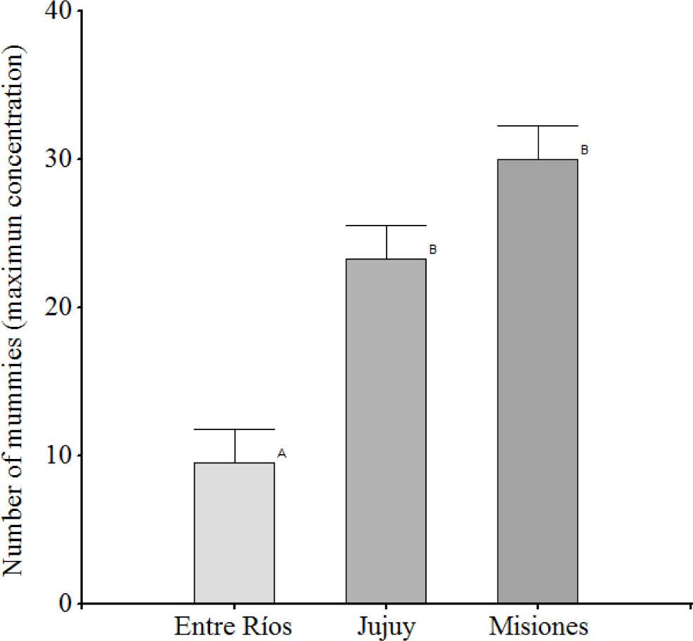 Record of larvae mummied with A. apis. Values are mean ± standard deviation. Different letters represent differences between strains (p<0.05).