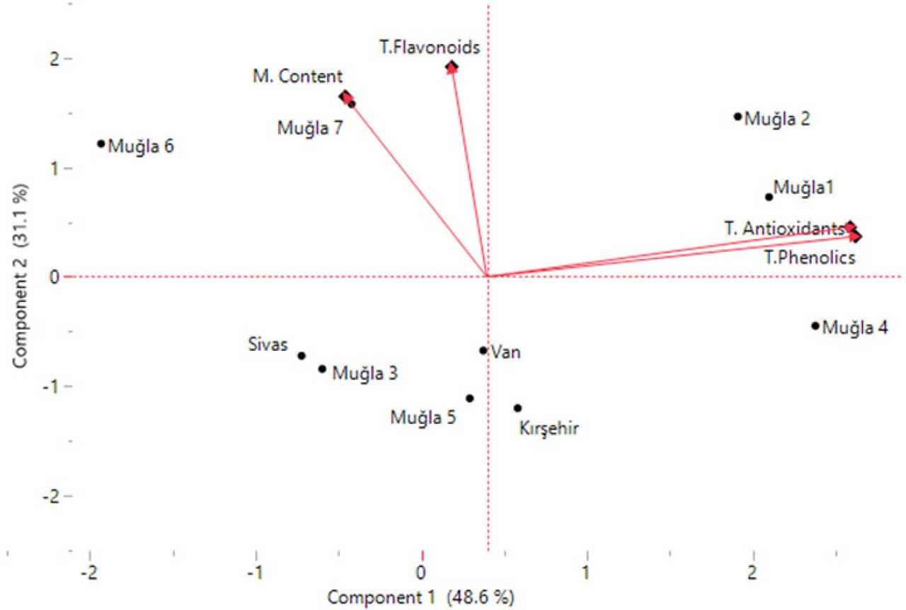 PCA results (Bi-plot) on the investigated samples.