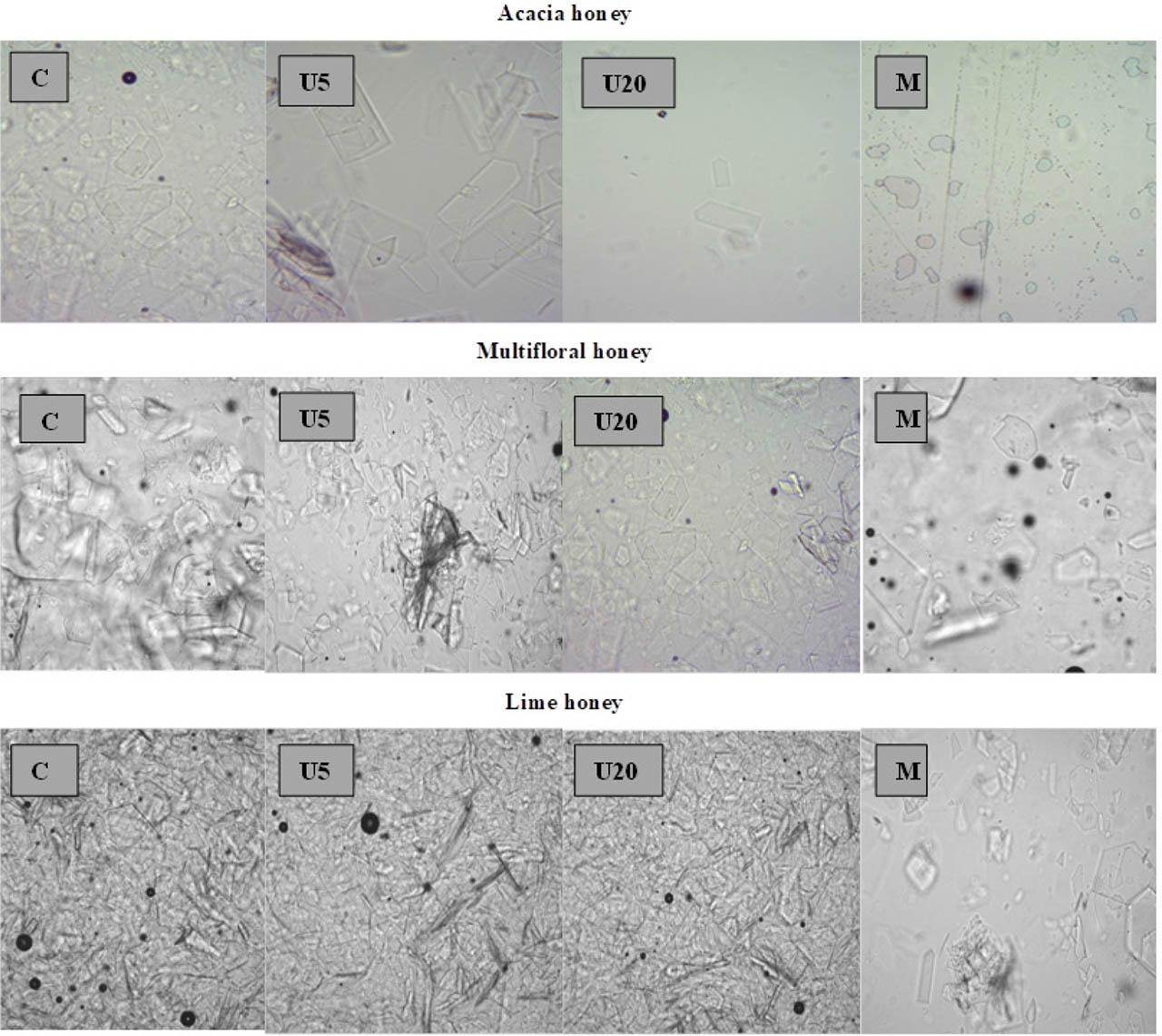 Crystal structure of acacia, multifloral and lime honey stored for 12 months: naturally crystallized (control-C), after 1st treatment (fixation) with ultrasounds in shorter (U5) or longer (U20) time and with microwaves (M).