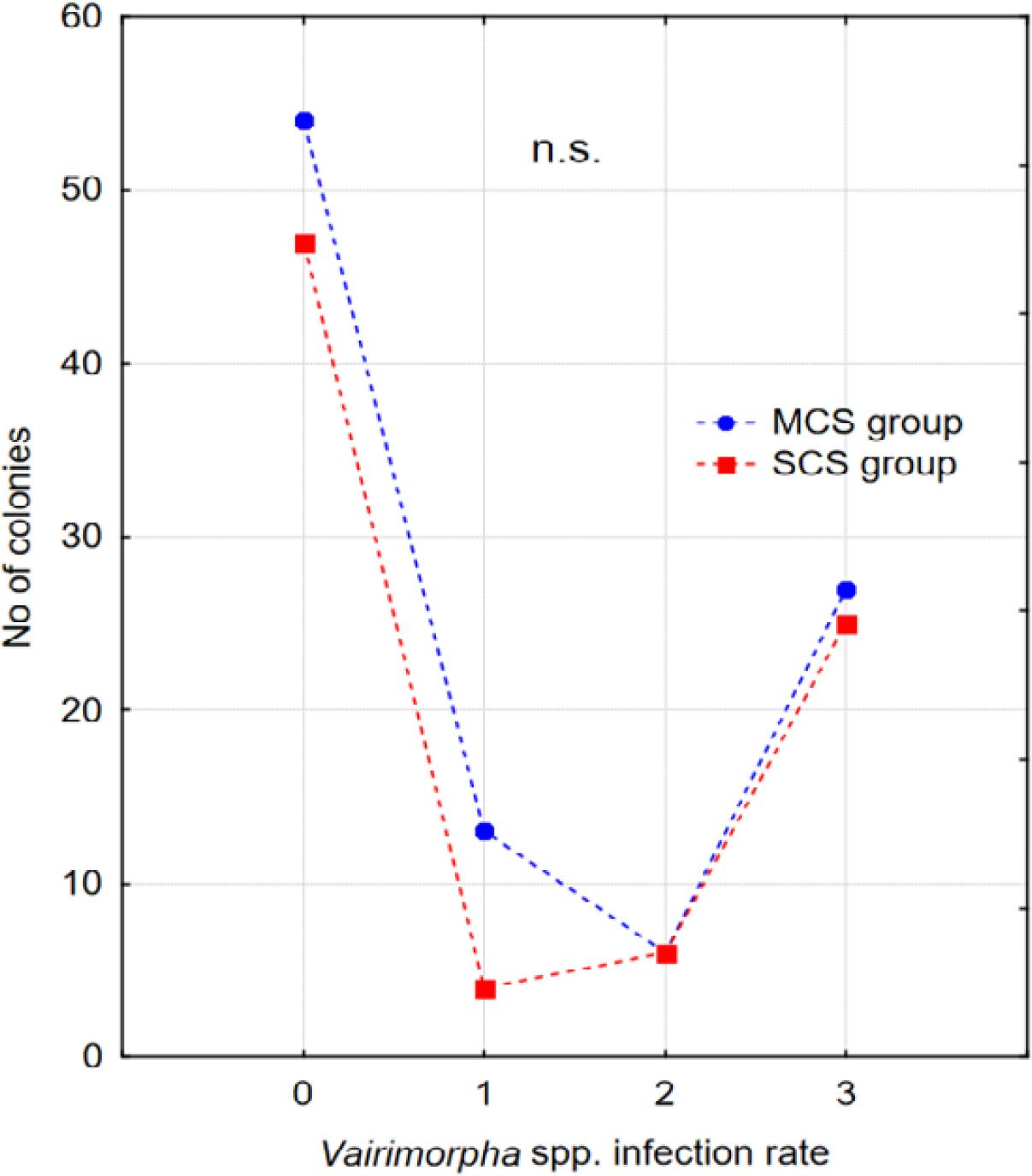 Number of healthy colonies (0) and infected with Vairimorpha spp. (scale 1-3) in the different experimental groups, n.s. - not significant.