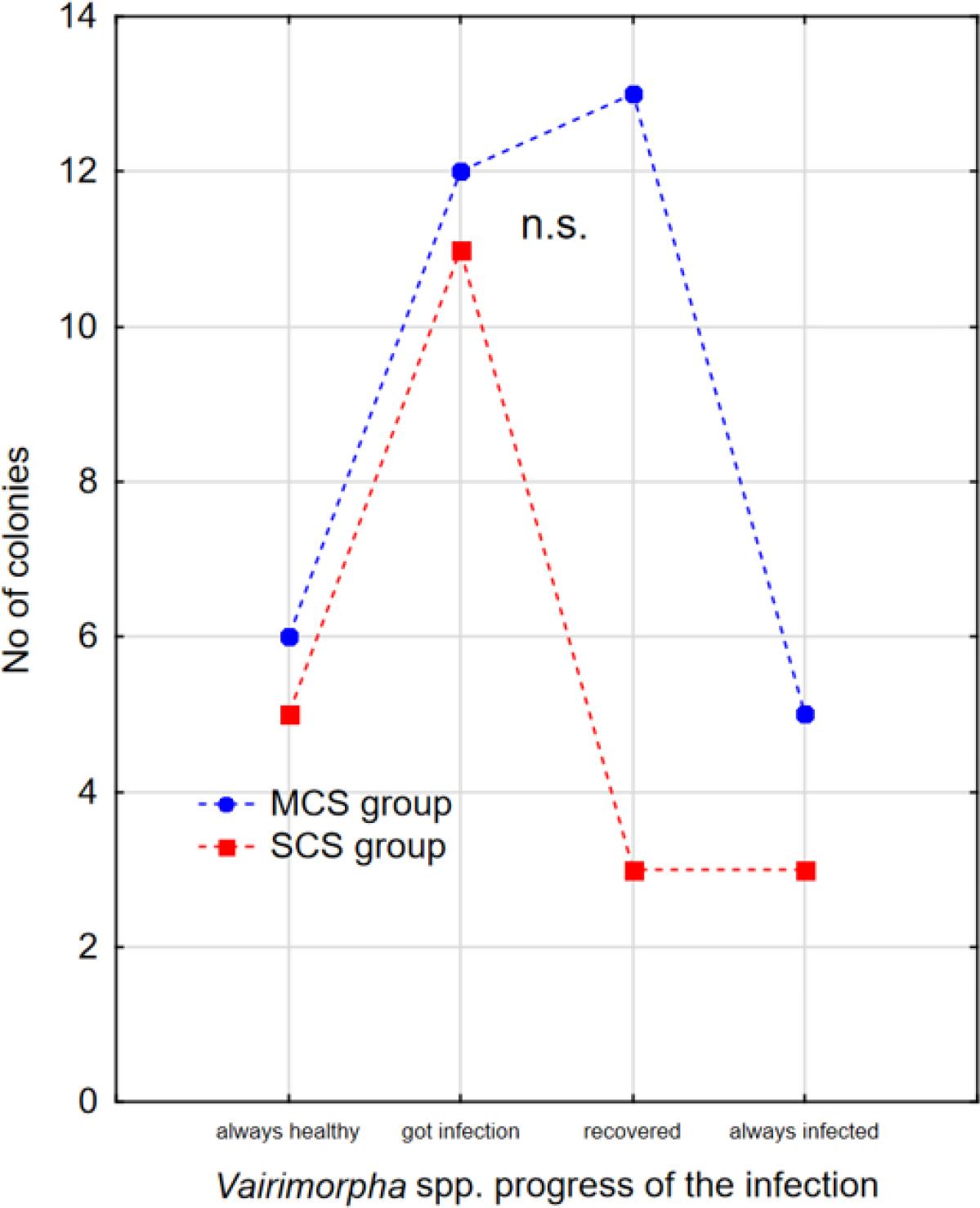 Number of healthy colonies and those infected with Vairimorpha spp. and then recovered changes during the experimental period in each experimental group colonies, n.s. - not significant.