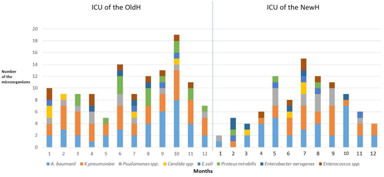 The types and numbers of causative microorganisms associated with nosocomial infections in the two hospitals.