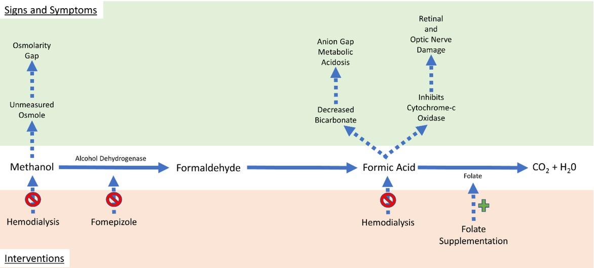 Graphical summary of the methanol pathway with the resulting signs and interventions.