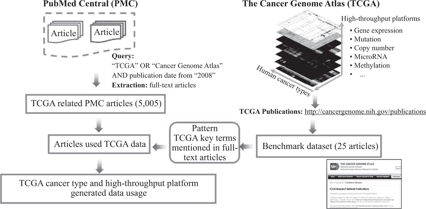 Computational workflow for identifying TCGA data usage.