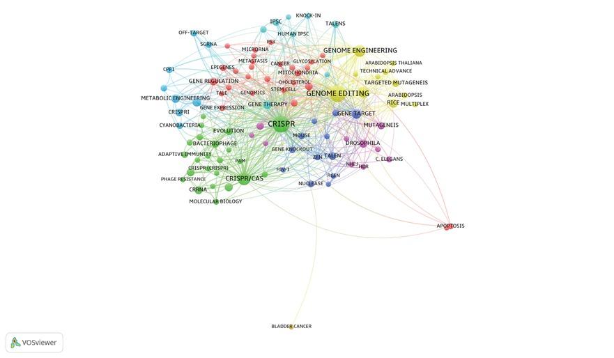 Co-occurrence network with the highest h-index keywords in the field of CRISPR/Cas9.