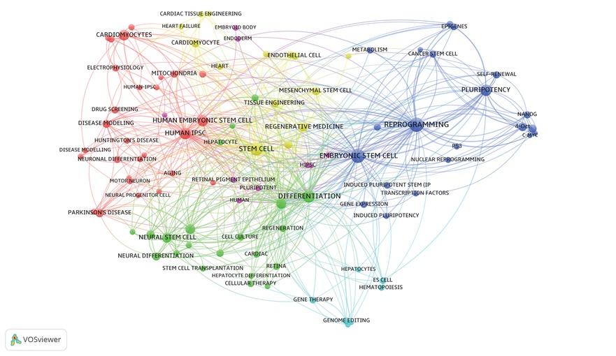 Co-occurrence network with the highest h-index keywords in the field of iPS cell.