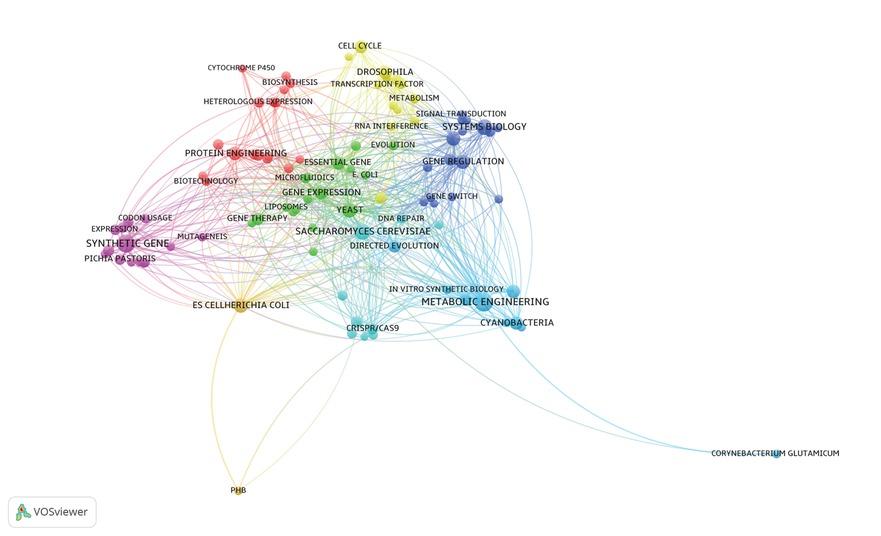 Co-occurrence network with the highest h-index keywords in the field of synthetic biology.