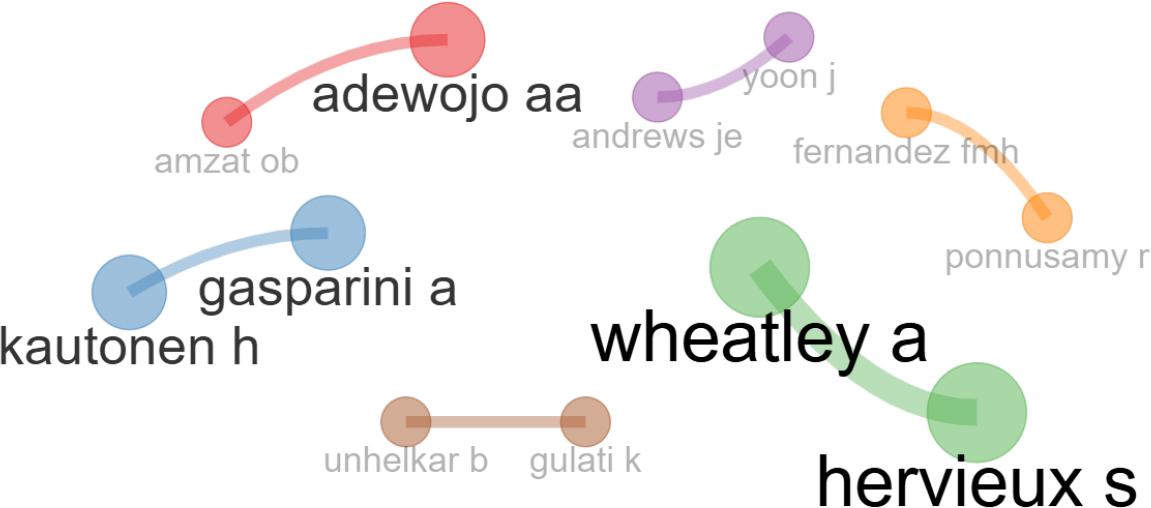 Visualization of academic collaboration between the authors