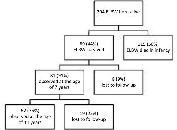 Ryc. 1. Schemat badania.
Flowchart of the study.