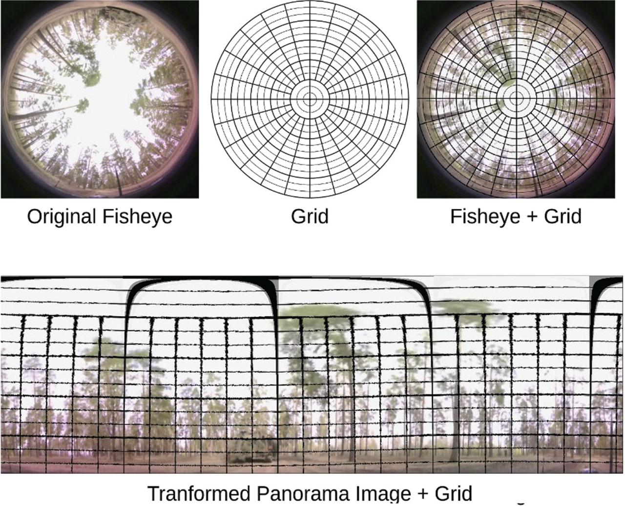Fisheye image transformation visualisation. The grid helps to visualise before and after the transformation.