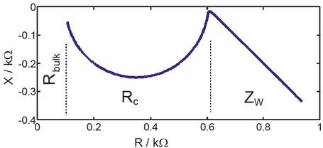 Impedance of a hypothetical metal electrode (A = 1 mm2) in contact with 1 mM KCl (Rbulk = 100 Ω, Rc = 500 Ω, Cdl = 30 mF/cm2, D = 5.10-8 m2/s, T = 296.15 K) in a frequency range from 100 Hz < f < 100 MHz with undisturbed diffusion layer