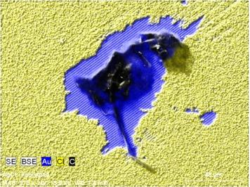 Surface defect at a Ag/AgCl covered gold electrode. The electrode was made from a CD-R carrying a 24-karat gold layer. The surface was scanned using EDX (energy-dispersive X-ray spectroscopy). The rough surface is AgCl while the pure gold is found around the impurity which consist of organic dust. The stripe structure of the gold is a feature of the CD. (Image by Holger Rothe, iba Heiligenstadt)