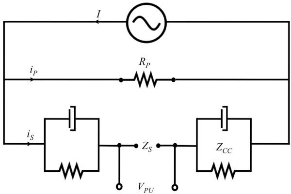 A parallel conductive pathway with resistance, RP, in the measurement circuit reduces the current reaching the sample, iS, by an amount, iP, corresponding to the current flowing through this extraneous pathway. The full injected current, I, is used to calculate the sample resistance leading to measurement error.