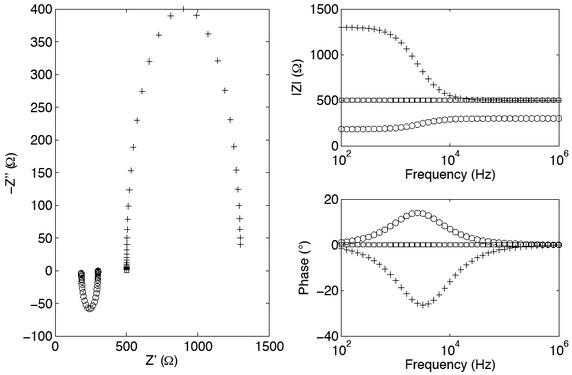 In these simulations of the circuit shown in figure 1, the true sample impedance is purely resistive with no phase component (□). Artefact caused by electrode polarisation effects (+) is characterised by negative phase and decreasing impedance magnitude with frequency. In contrast, artefact due to a parallel conductive pathway (o) is characterised by positive phase and increasing impedance magnitude with frequency. The parallel conductance is 750#. Each electrode is characterised by a charge transfer resistance of 800# and a double-layer capacitance of 0.1μF.