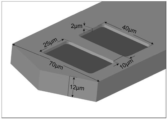 A schematic of the electrodes with dimensions to scale.