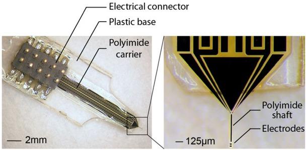 Photograph of the device used. (Left) The plastic base is used to facilitate attachment to a micromanipulator (not shown) for assisting in precise insertion of the electrodes into the retina. (Right) The narrow polyimide shaft consisting of the electrodes is the part that is inserted in the retina preparation.