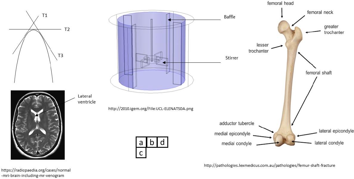 (a) High curvature objects of interest in (c)(d) Medical imaging & (b) process tomography.