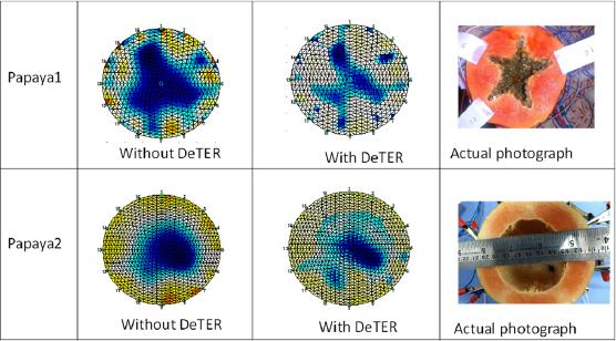 Reconstructed images with actual cross-sectional cuts of papaya fruits