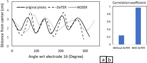 (a) Shape descriptor functions for void in papaya1 and its images. (b) Comparison of correlation coefficients.