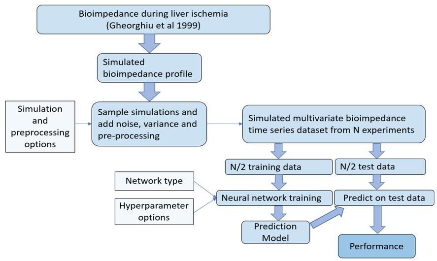 Overview of the methodology used for investigating the performance of different neural networks for predicting duration of ischemia based on bioimpedance using simulated measurements.
