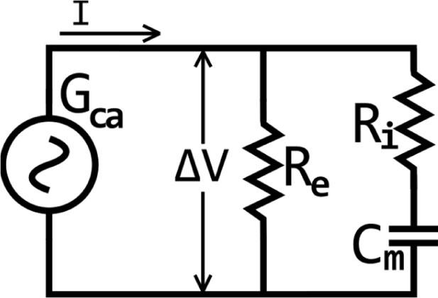 Analogous electrical model which equates biological tissue components to passive electrical elements. Re is a resistor which mimics extra-cellular fluids together with some connective tissue elements and is parallel to Ri which mimics resistance of intracellular fluids and is serially connected to the capacitor Cm representing electrical charges separated by the cell membranes. When the alternate current generator Gca is connected to the circuit at its ends, it generates a difference of electrical potential ∆V which induces the current I to flow in the two parallel branches of the circuit.