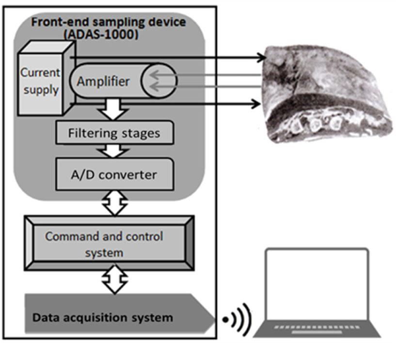 The block diagram is a schematic representation of the electrical components in the device ZMeat.
