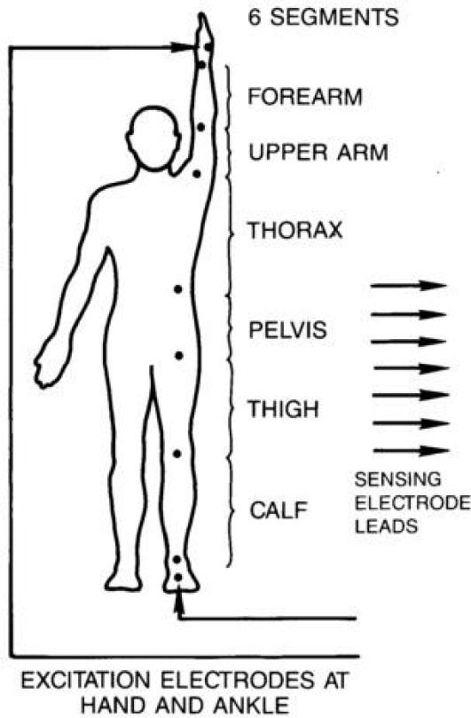 Impedance electrode locations on humans and Rhesus monkeys.