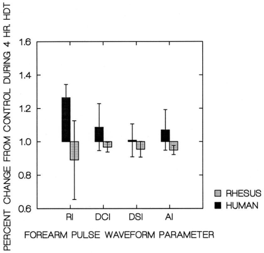 Forearm pulse waveform parameters at 4 hr HDT. No significant differences between Rhesus monkeys and humans.