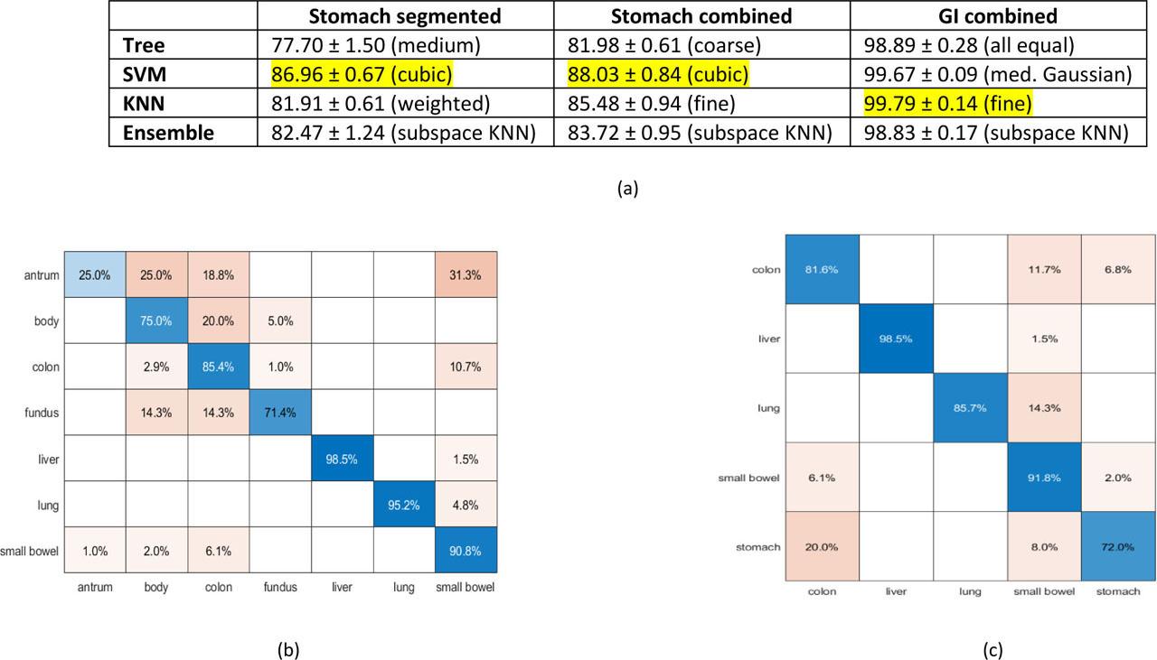 (a) Comparison of mean accuracy with standard deviations for the different machine learning classification methods, along with best performing subclass. Confusion matrix plots generated from a single 10 fold cross-validation run using the cubic support vector machine subclass with (b) stomach separated out into fundus, body, and antrum and (c) fundus, body, and antrum aggregated together as stomach prior to comparison to other tissues.